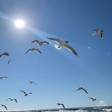 Harmony Z Basenem - Baltic -sannel For Rent Поберово